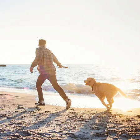 Ostseeferienpark Walkyrien - Kapitaen 36