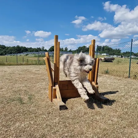 Dom wakacyjny Ostseeferienpark Walkyrien - Kapitaen 36