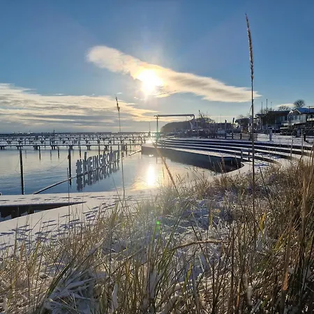 Dom wakacyjny Ostseeferienpark Walkyrien - Kapitaen 36 Schashagen